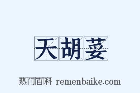 天胡荽是什么意思的图片